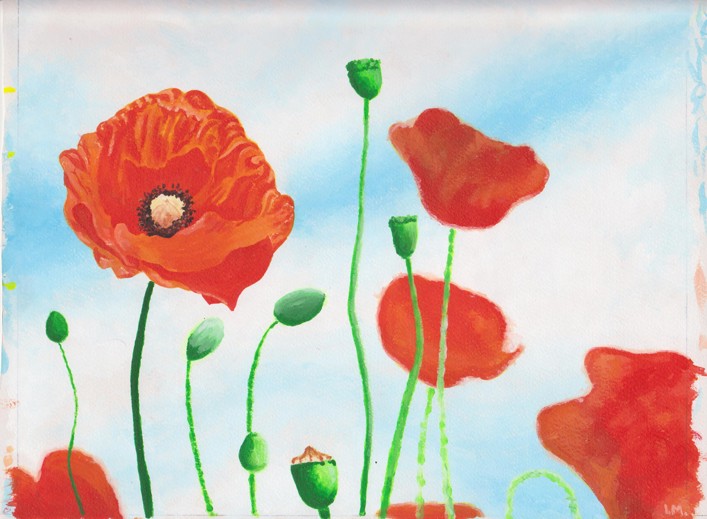 Poppies