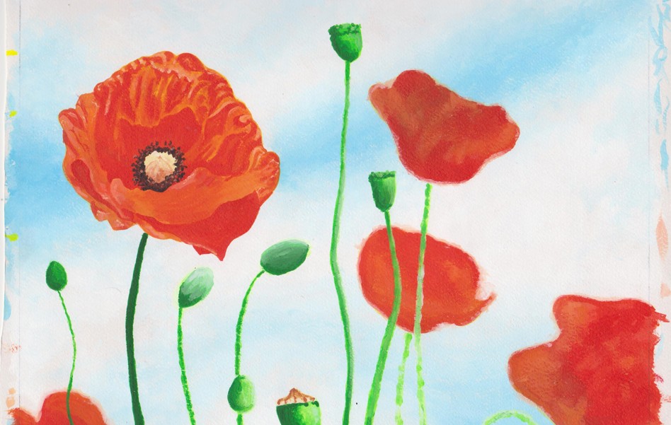 Poppies