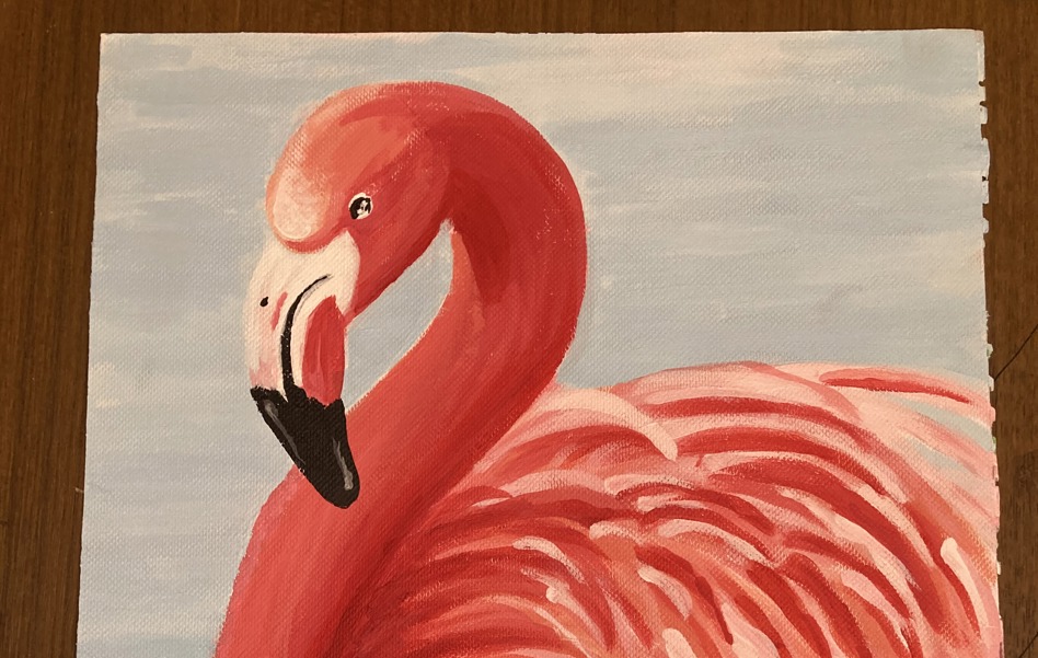 Flamingo